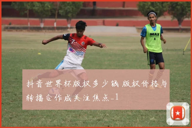 抖音世界杯版权多少钱 版权价格与转播合作成关注焦点_1