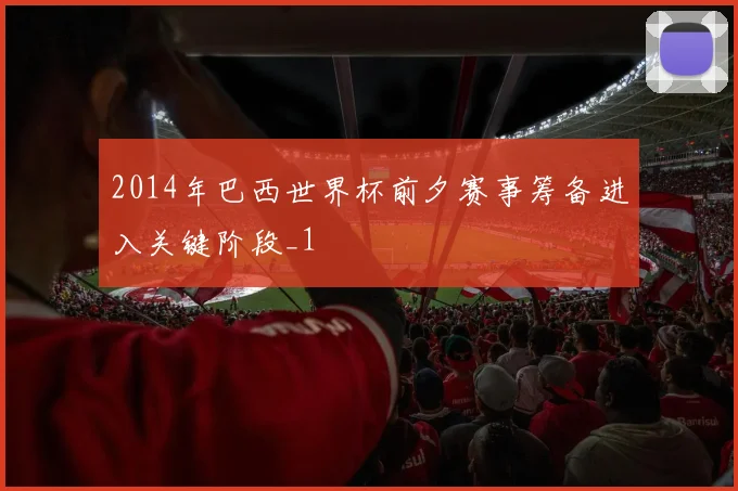 2014年巴西世界杯前夕赛事筹备进入关键阶段_1