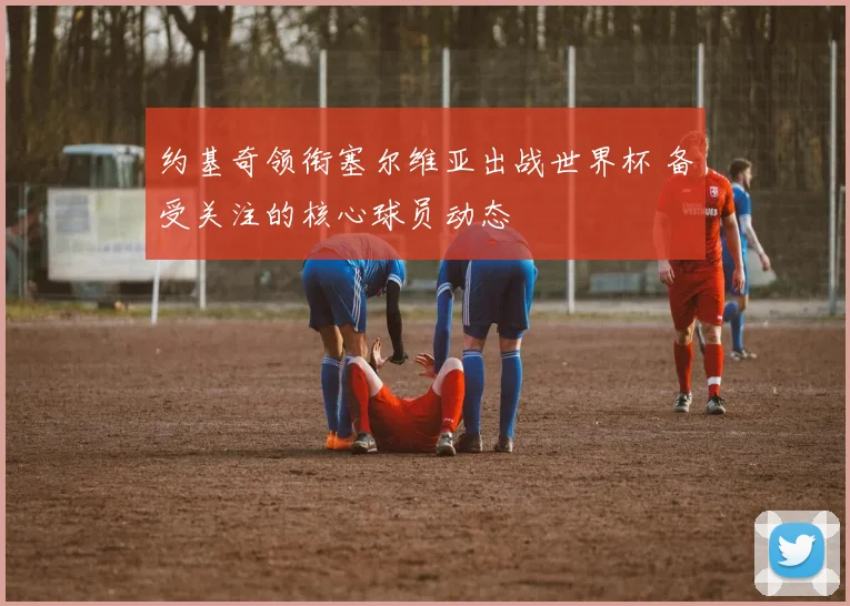 约基奇领衔塞尔维亚出战世界杯 备受关注的核心球员动态